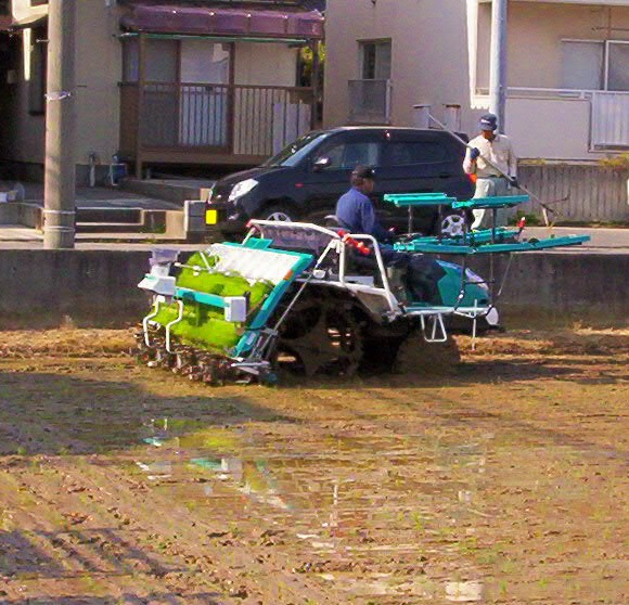 Rice-planting tractor. Niigata is famous for its pure water, delicious rice, and delicious rice wine, or "sake."