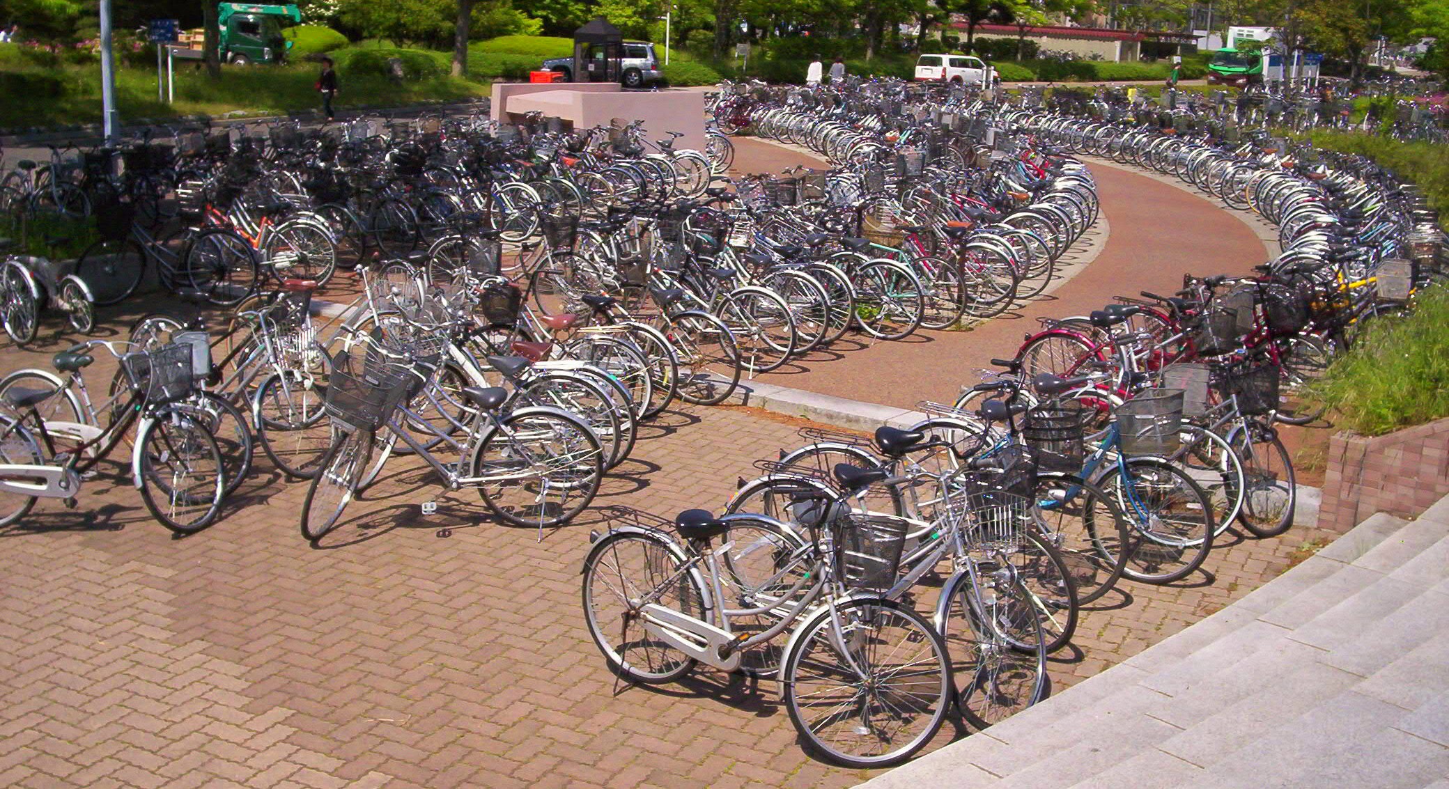Bicycles at Niigata University: Hmm, where did I park it? Oh, yeah! -- Mine's the silvery one!